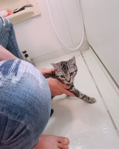 初めてのお風呂！