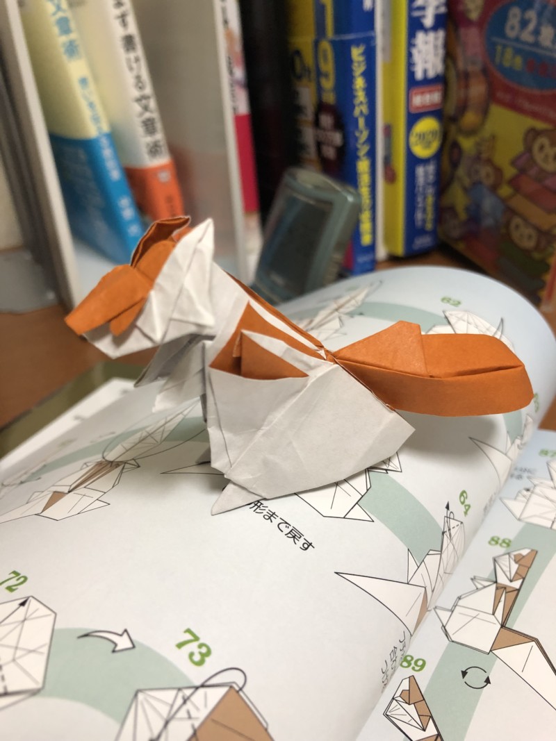 動物折り紙折ってみました