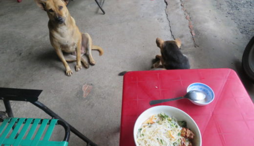 ベトナムの定番！？見知らぬ犬と一緒に朝食