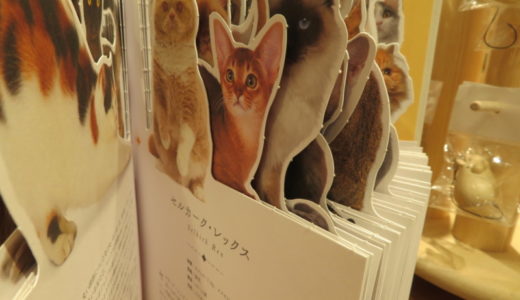 犬、猫、パンダ…上野駅は動物グッズの宝庫！