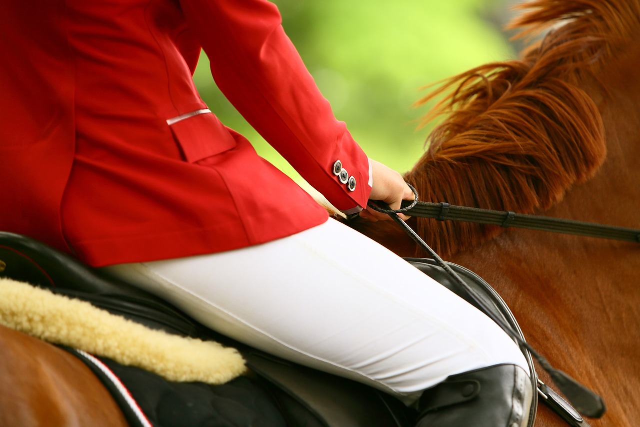 オリンピックで競走馬はどうやってパリに行ったの？